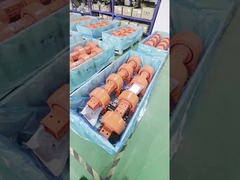 IP66-kwalificatie zelfvergrendelende dubbele as slew drive